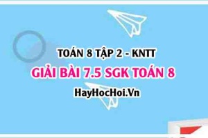 Bài 7.5 SGK Toán 8 Tập 2 Kết nối tri thức